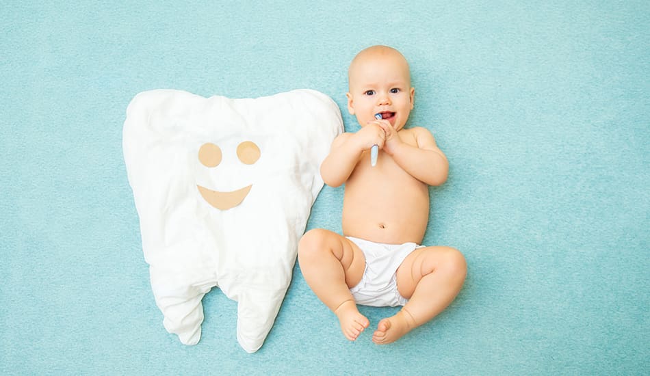 Early Dental Care Early Dental Care